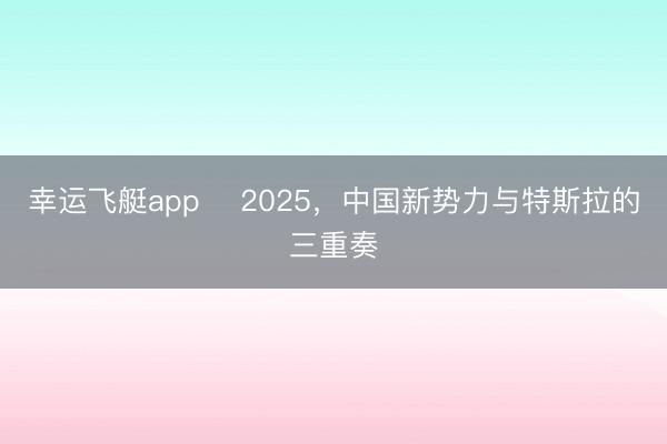 幸运飞艇app ​2025，中国新势力与特斯拉的三重奏