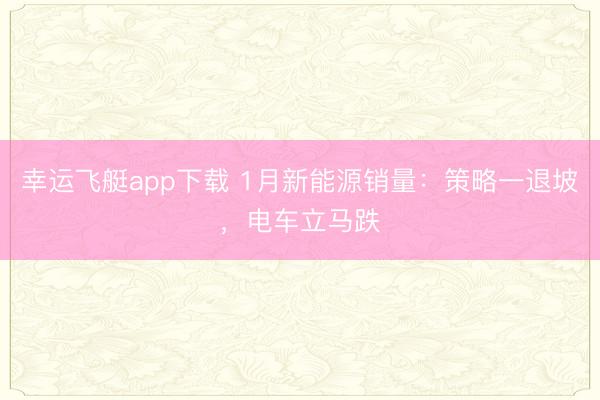 幸运飞艇app下载 1月新能源销量：策略一退坡，电车立马跌