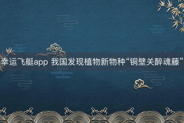 幸运飞艇app 我国发现植物新物种“铜壁关醉魂藤”