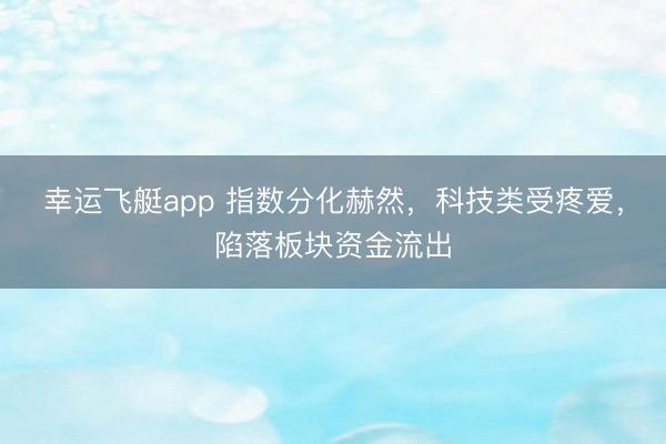 幸运飞艇app 指数分化赫然，科技类受疼爱，陷落板块资金流出